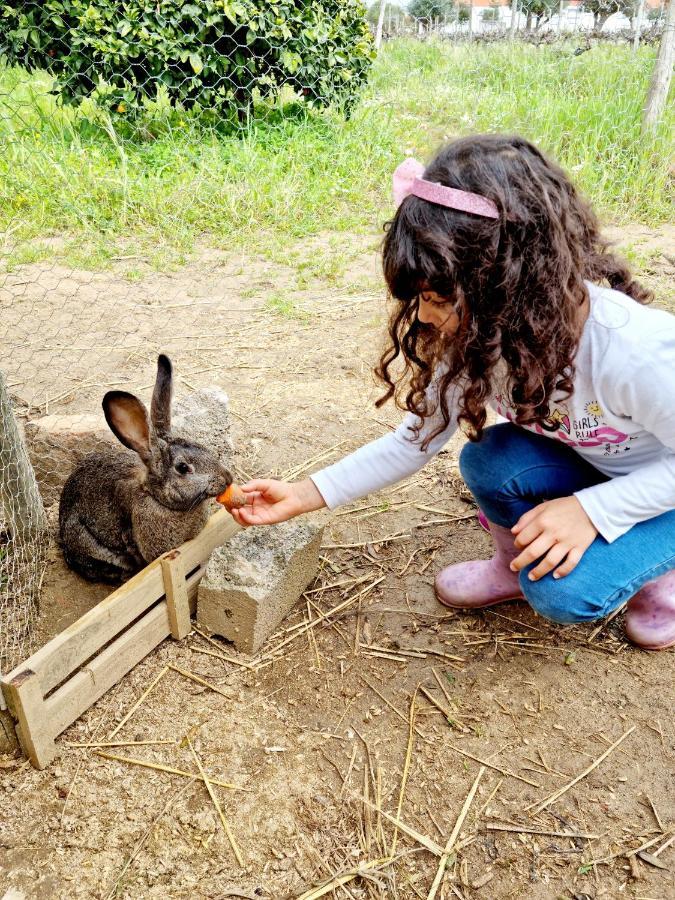 エヴォラ Quinta Do Quartelヴィラ エクステリア 写真